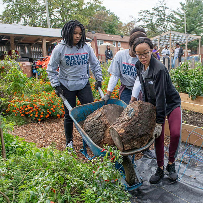A group of Howard students in Day of Service shirts pushing a wheelbarrow as they work in the community garden.