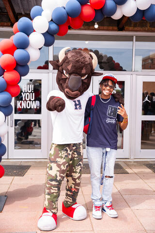 Bison Preview